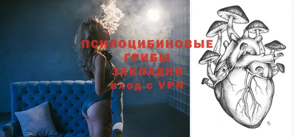 прущая мука Каменногорск