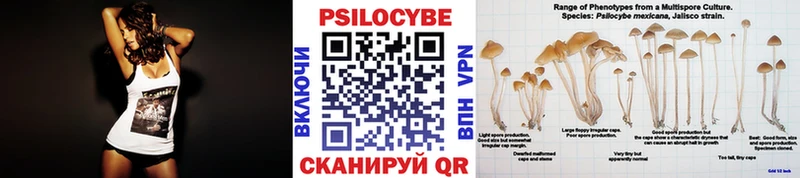 Галлюциногенные грибы мухоморы  Купить где  Северобайкальск 